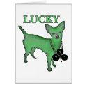 LuckyDog7 cards by zoemorn LuckyDog7 cards