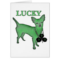 LuckyDog7 cards by zoemorn LuckyDog7 cards