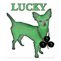 LuckyDog7 posters by zoemorn LuckyDog7 posters