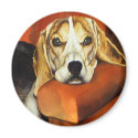 Lucy Beagle Magnet by artbyjolyn Lucy Beagle Magnet