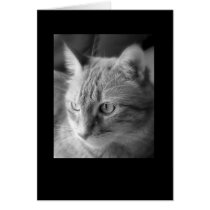 Lucy cards by USSBridget65 Lucy cards