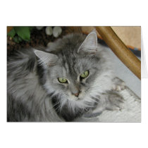 "Lucy" cards by Hauki "Lucy" cards