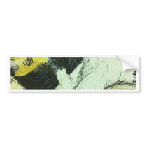 Lucy kitten sleeping bumper sticker