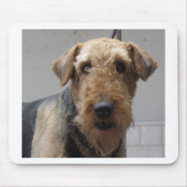 LUCY mousepads by kathiscc LUCY mousepads