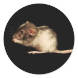 lucy stickers