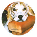 Lucy Stickers