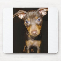 lucy the dog mousepads by jrstanki lucy the dog mousepads