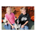 Lucy - Toy Cocker Spaniel Photo-04 Greeting Card