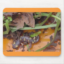 Lucy's Big Find mousepads by sumiko Lucy's Big Find mousepads