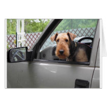 LUCYTRUCK cards by kathiscc LUCYTRUCK cards