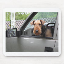 LUCYTRUCK mousepads