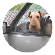 LUCYTRUCK stickers