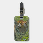 Luggage Tag - Customized