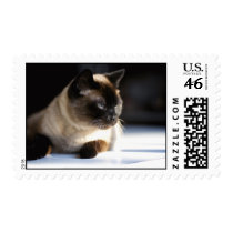 Lui Shen at the Window postage