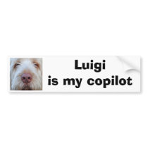Luigi's Booper Bumper Sticker