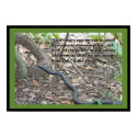 Luke 10:19 Scripture Poster (Version B) posters by cherylarogers Luke 10:19 Scripture Poster (Version B) posters