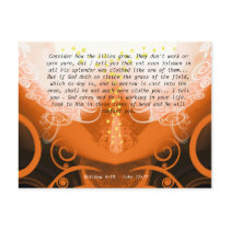 Luke 12:27 Consider how the lilies grow. postcards by samack Luke 12:27 Consider how the lilies grow. postcards