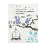 Luke 12:7 you are more valuable than many sparrows postcards
