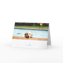 Luke Cards