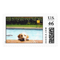 Luke postage by kmccoy Luke postage