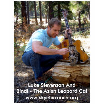 Luke Stevenson And Bindi Eco Shirt by skyeluke Luke Stevenson And Bindi Eco Shirt