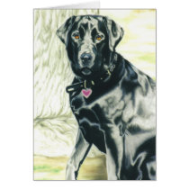"Lulu" cards by paintonmypaws "Lulu" cards