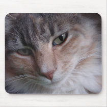 Lulu close-up mouse pad