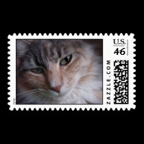 Lulu close-up stamps