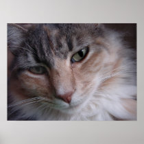 Lulu close-up poster