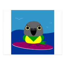 Lulu the Senegal parrot Surfing Post Cards