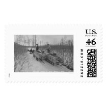 Lumber Dog Seward, Alaska 1917 Postage Stamps