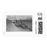 Lumber Dog Seward, Alaska 1917 postage