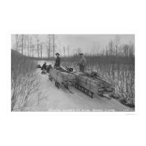Lumber Dog Seward, Alaska 1917 posters