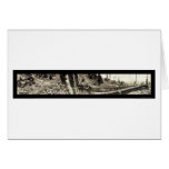 Lumberjack Redwoods Photo 1915 cards