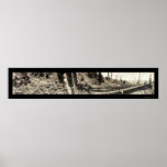 Lumberjack Redwoods Photo 1915 posters