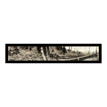 Lumberjack Redwoods Photo 1915 posters