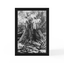 Lumberjacks in Mindoro Region, Philippines 1906 cards by lc_vintagephotos Lumberjacks in Mindoro Region, Philippines 1906 cards