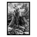 Lumberjacks in Mindoro Region, Philippines 1906 posters by lc_vintagephotos Lumberjacks in Mindoro Region, Philippines 1906 posters
