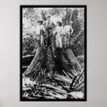 Lumberjacks in Mindoro Region, Philippines 1906 Posters