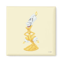 Lumiere Magnets