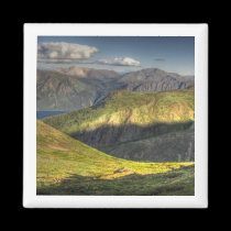 Luminescent Landscape magnets