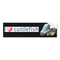 Luminous Cuttlefish bumper stickers by derbyka Luminous Cuttlefish bumper stickers
