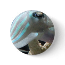 Luminous Cuttlefish Buttons
