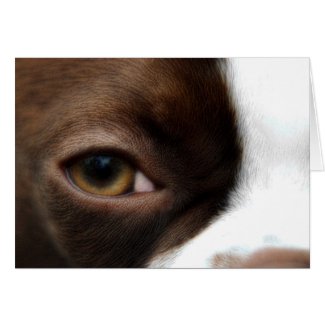 Luna card