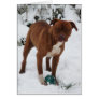 Luna Greeting Cards