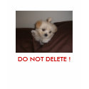 luna, DO NOT DELETE ! donotdelete_testbtauto t-shirts by testbtauto luna, DO NOT DELETE ! donotdelete_testbtauto t-shirts