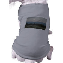 luna pet clothing by azulcita luna pet clothing