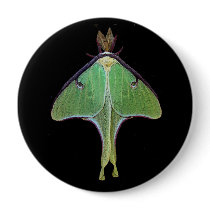 Luna Moth Pinback Button