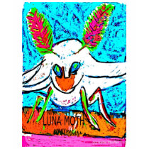 Luna Moth by Katie Pfeiffer Tshirts