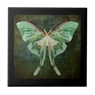 Luna Moth Ceramic Art Tile